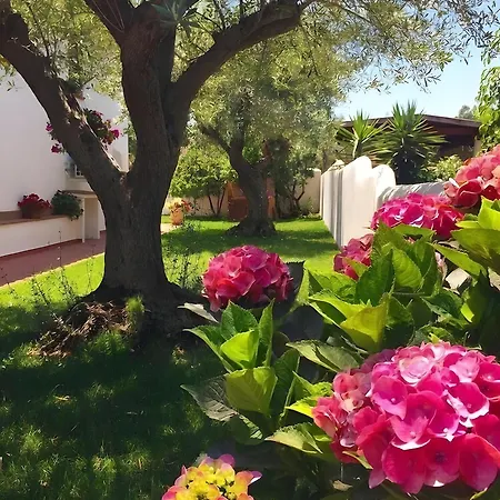 アパート Casa Con Giardino Adiacente A Parco
